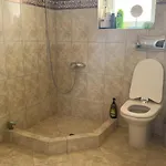 Grand Luxury With Garden And Jacuzzi